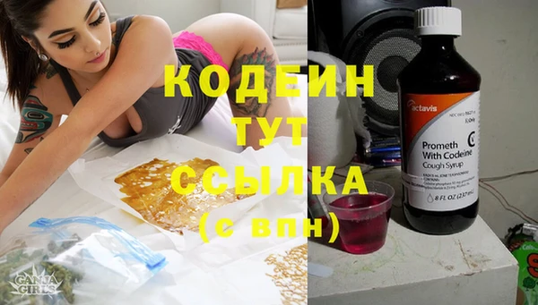 ПСИЛОЦИБИНОВЫЕ ГРИБЫ Аркадак