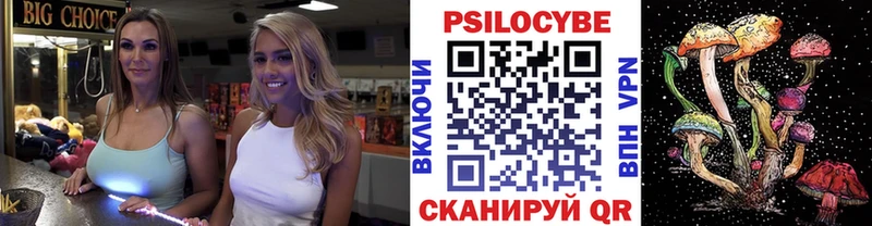 Купить закладки  Сельцо  Галлюциногенные грибы мухоморы 